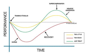 Ryan's Training Tip Tuesday--Supercompensation